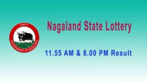 Lottery Sambad Dear Flamingo Evening 29.7.2019 Result 8.00pm – Nagaland lottery